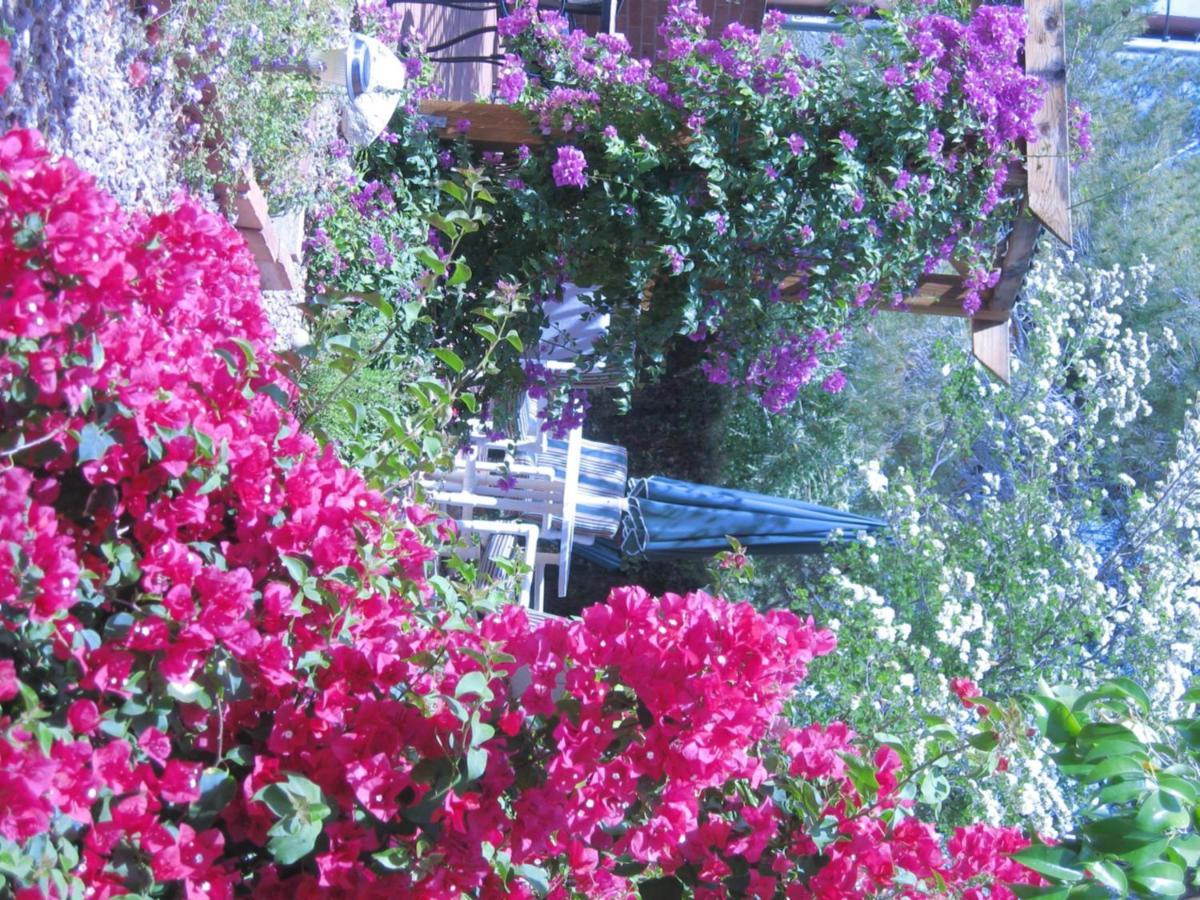 Mon Ami Bed And Breakfast 투산 외부 사진