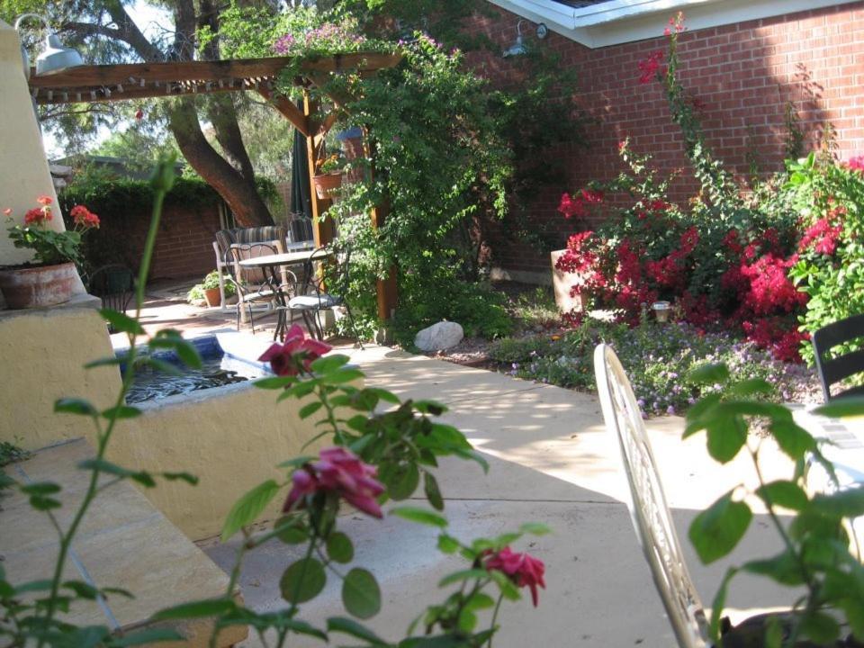 Mon Ami Bed And Breakfast 투산 외부 사진