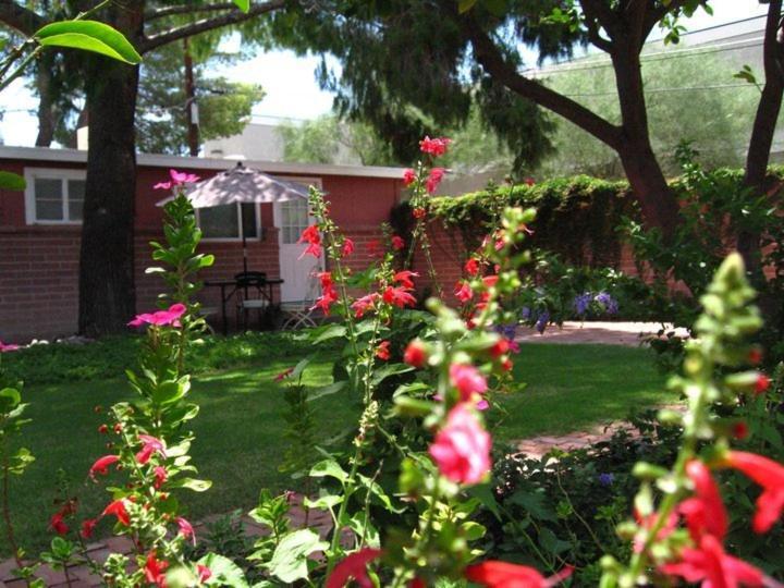 Mon Ami Bed And Breakfast 투산 객실 사진