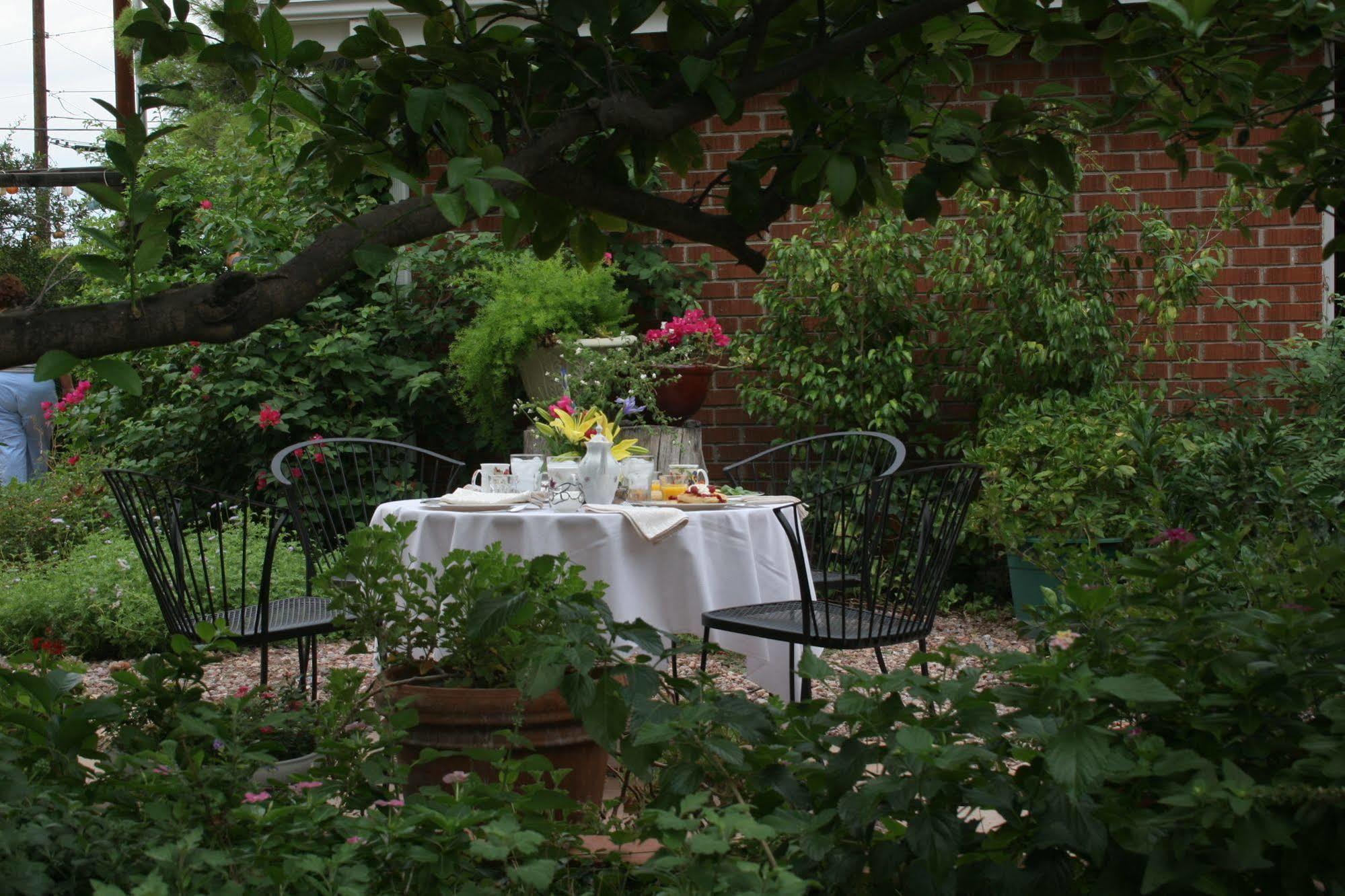 Mon Ami Bed And Breakfast 투산 외부 사진